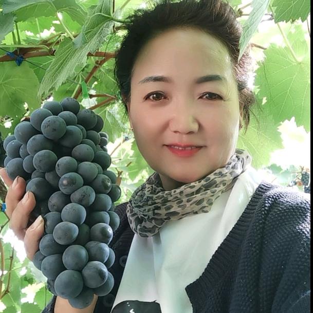 宁夏农垦巴浪湖夏黑（晓霞）