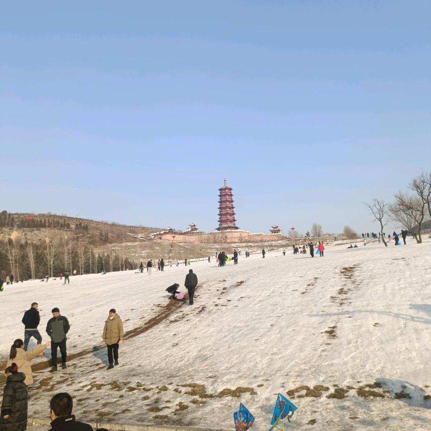 高球球哥