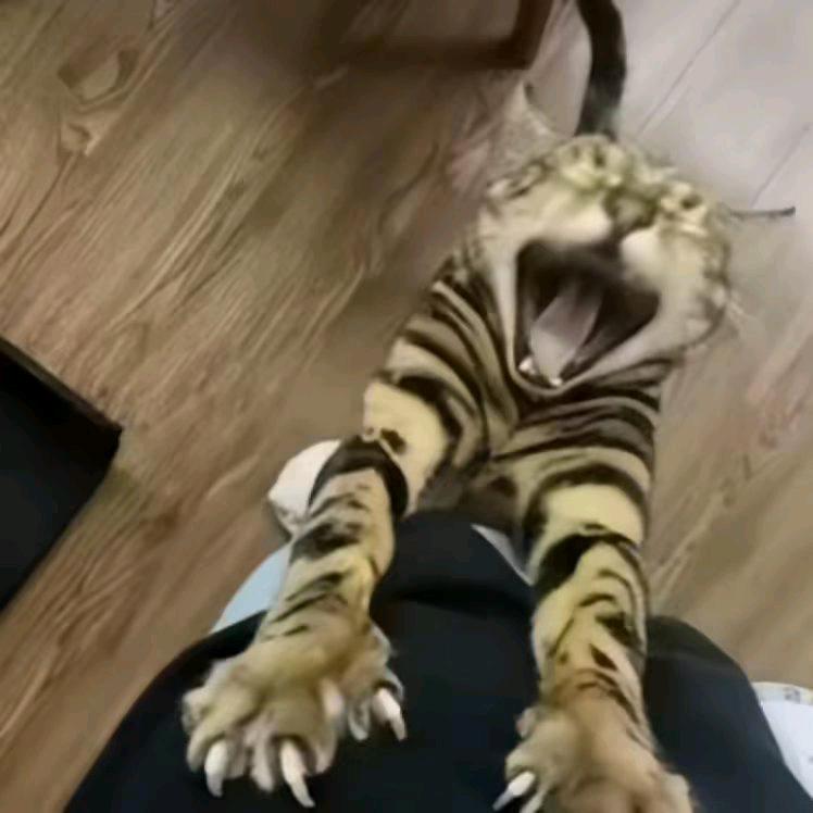 封心