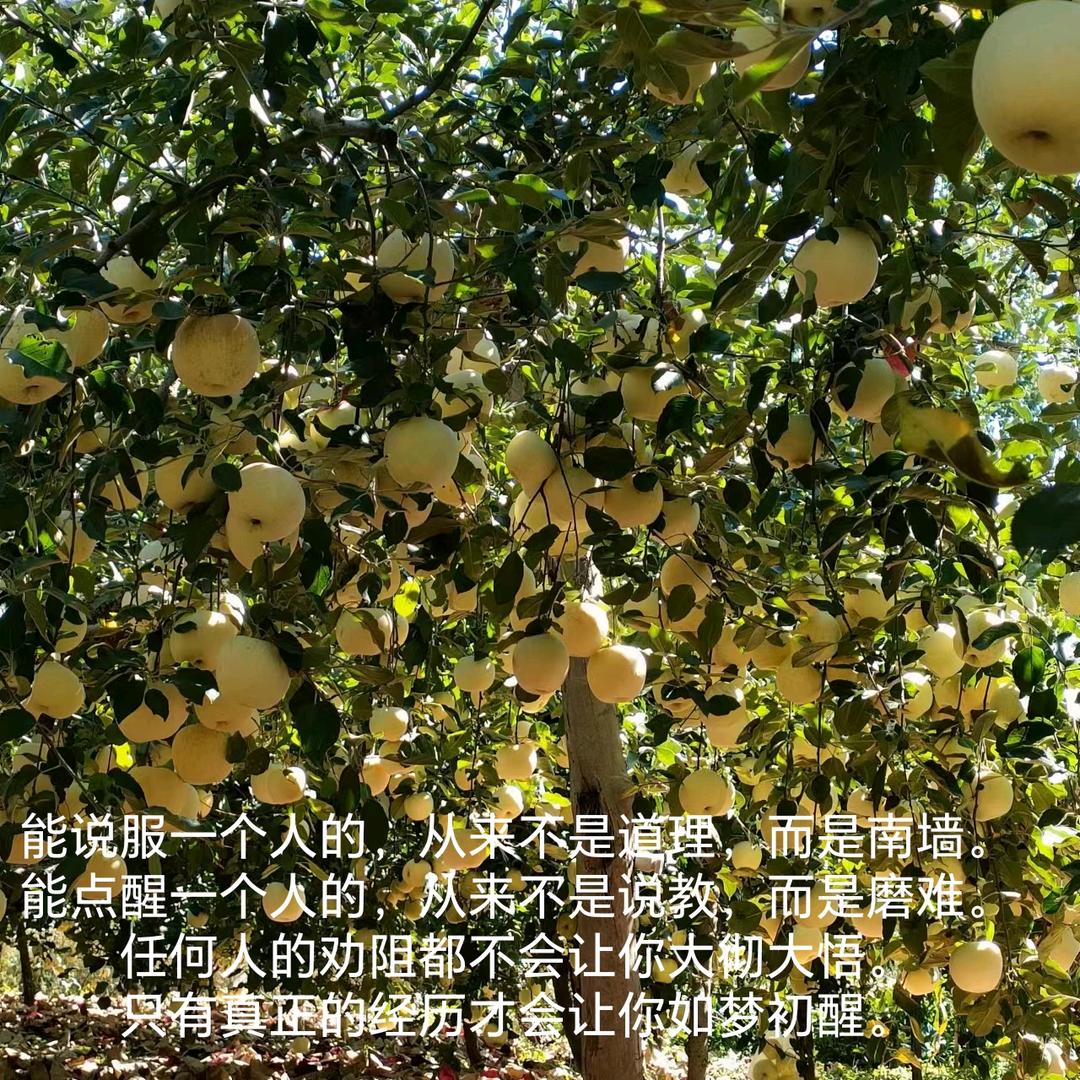 一夜识秋雨