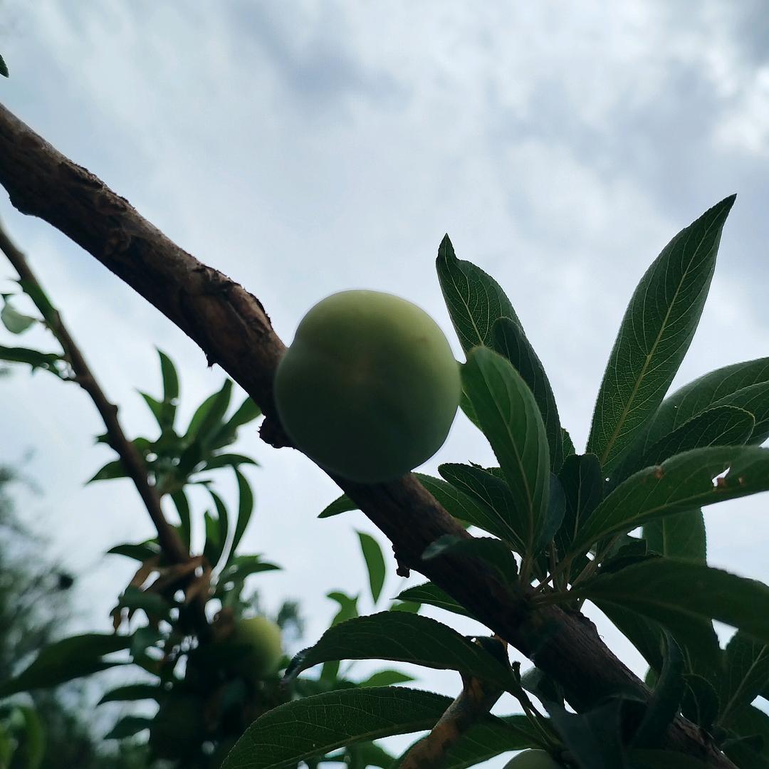 老李的快乐频道