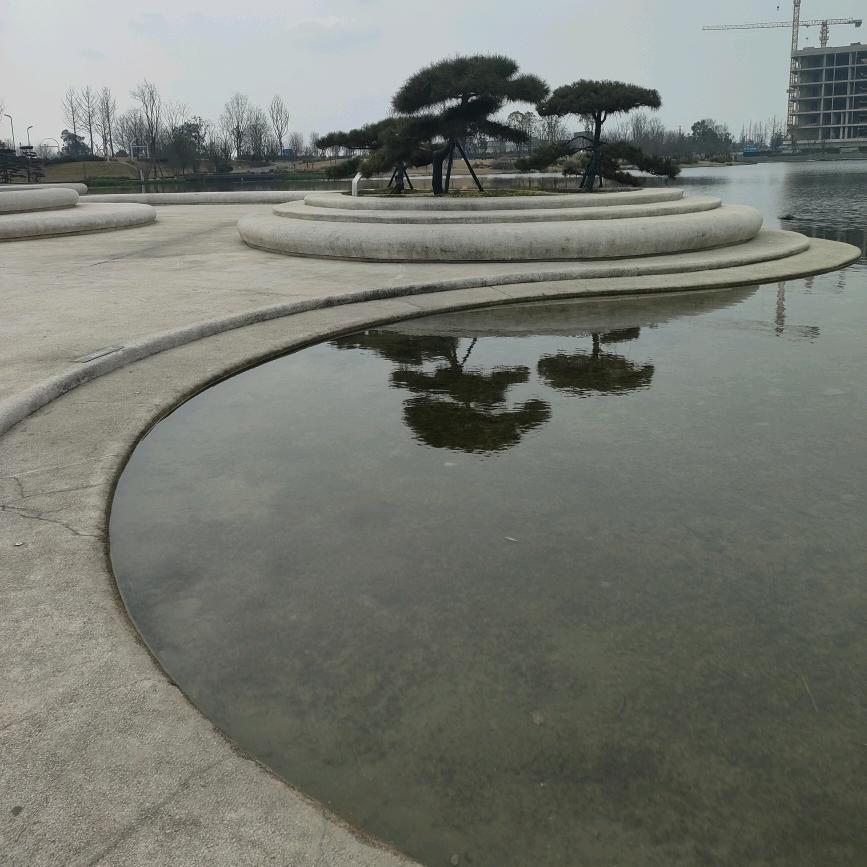 一本歪经