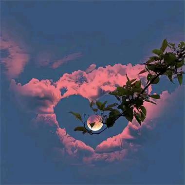 菲儿铁塔爱购物