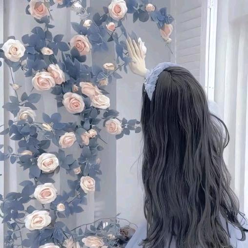 富港云仓宠粉号