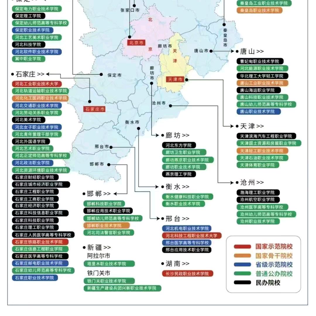 志愿填报阳阳