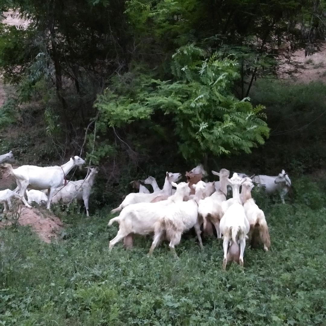 杨彬宁