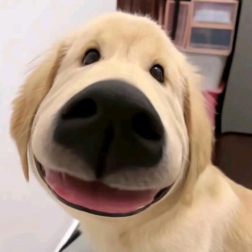 笙.