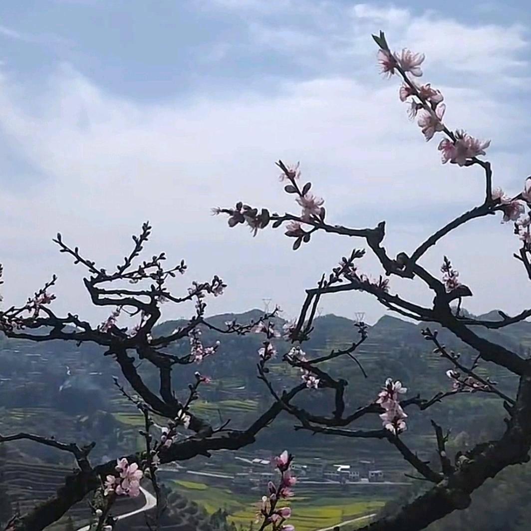 用户26535344302