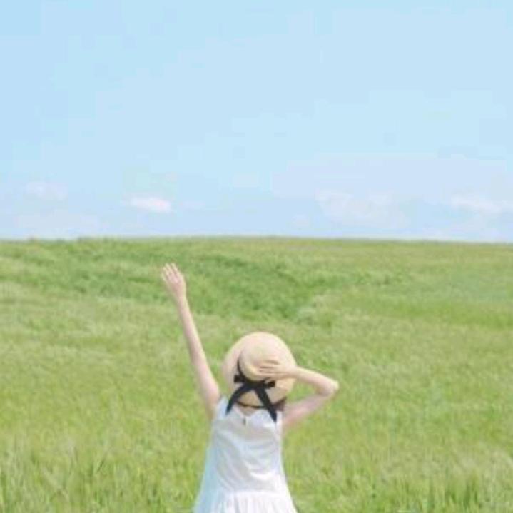 蓝花书