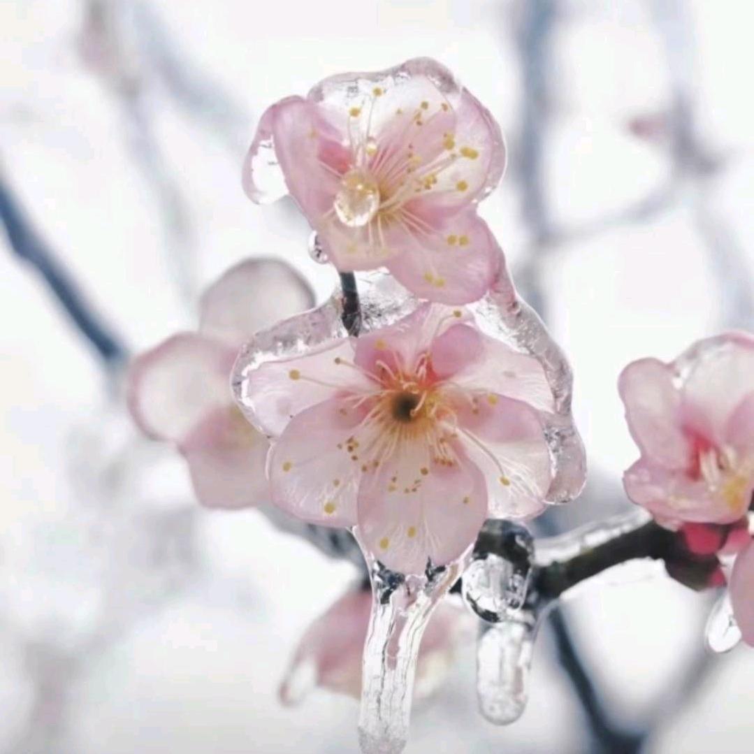 潇潇微雨