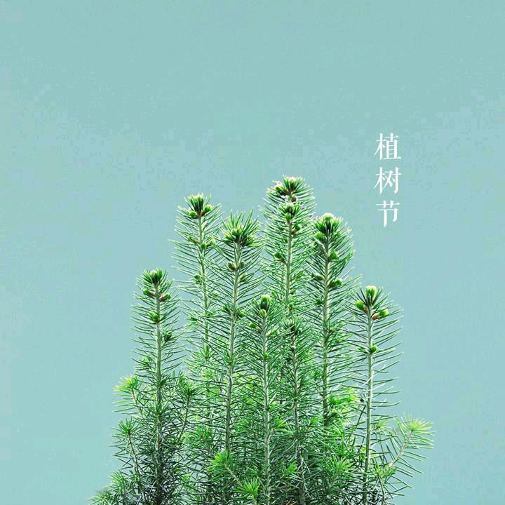 桂芳