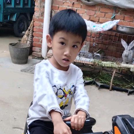 我是辰辰