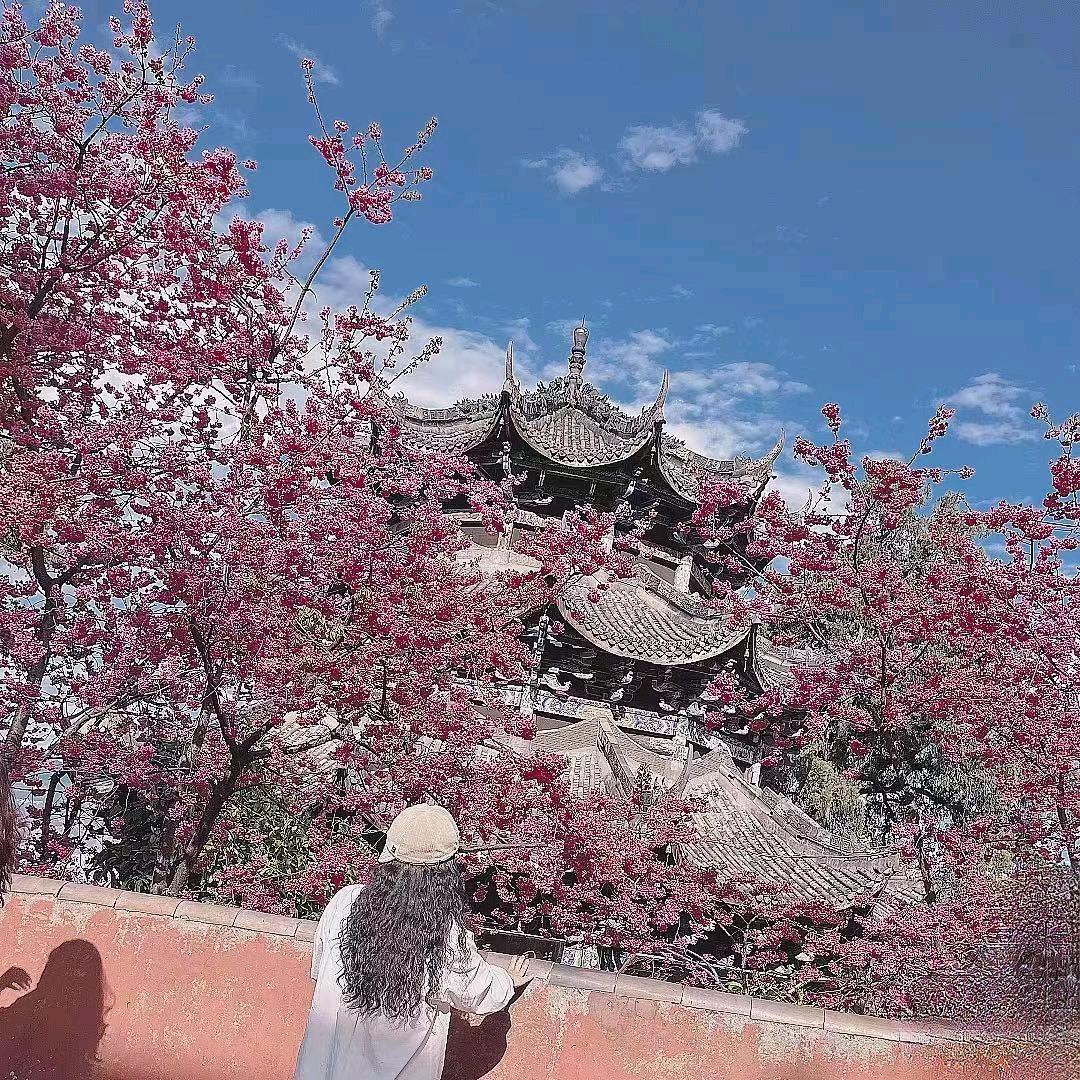 乙木女