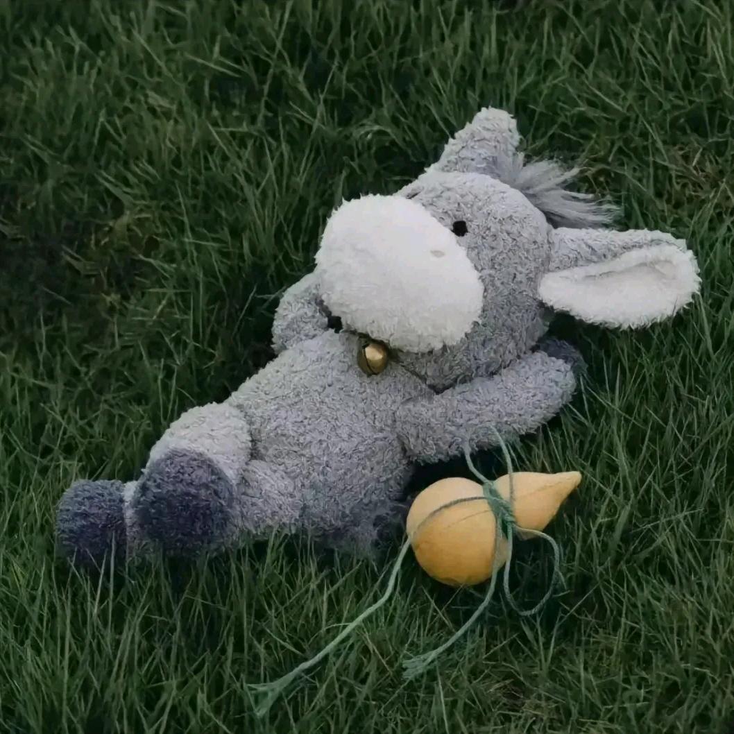 sad donkey