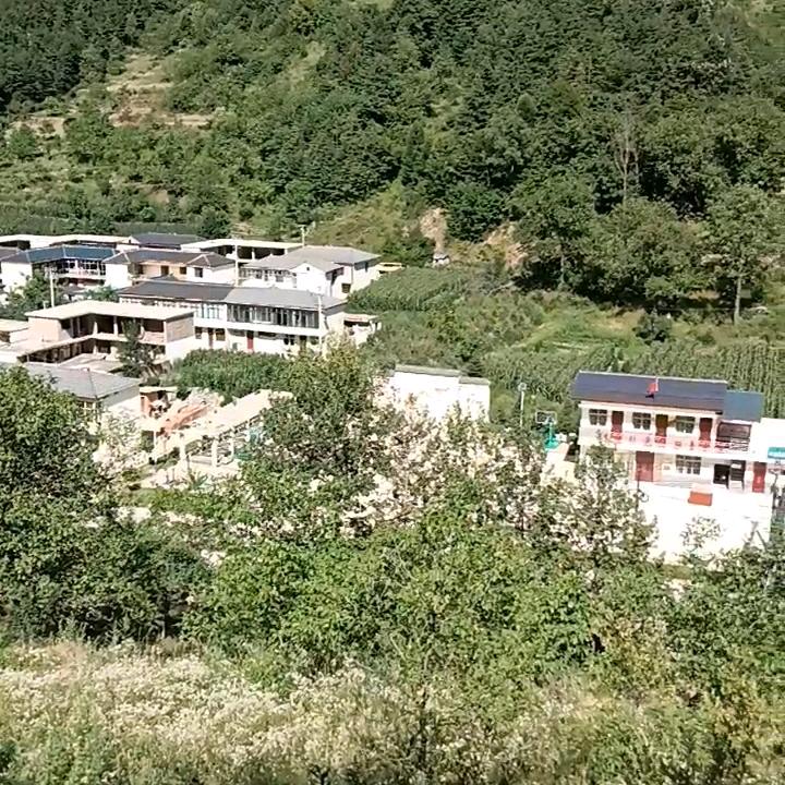 爱是那么的遥远