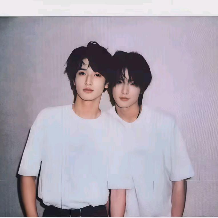小熊和小狼