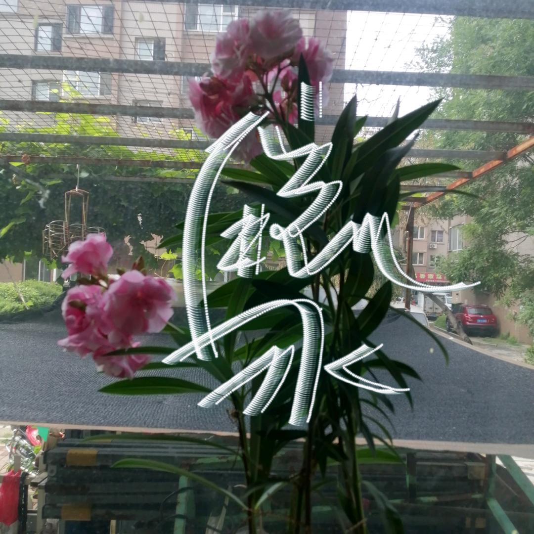 独往独来