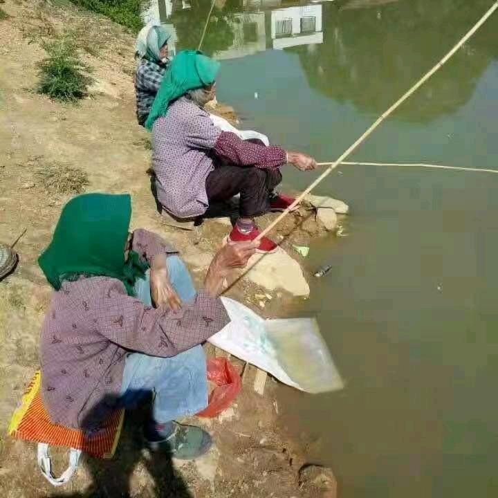 维生素E