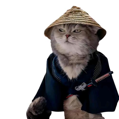 平邑盛达木业-进口全桦木海洋板-台球杆板