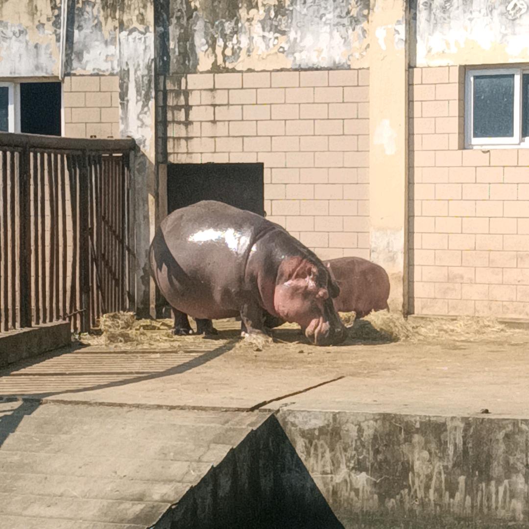 莓啤汽𖠚 ˎˊ-
