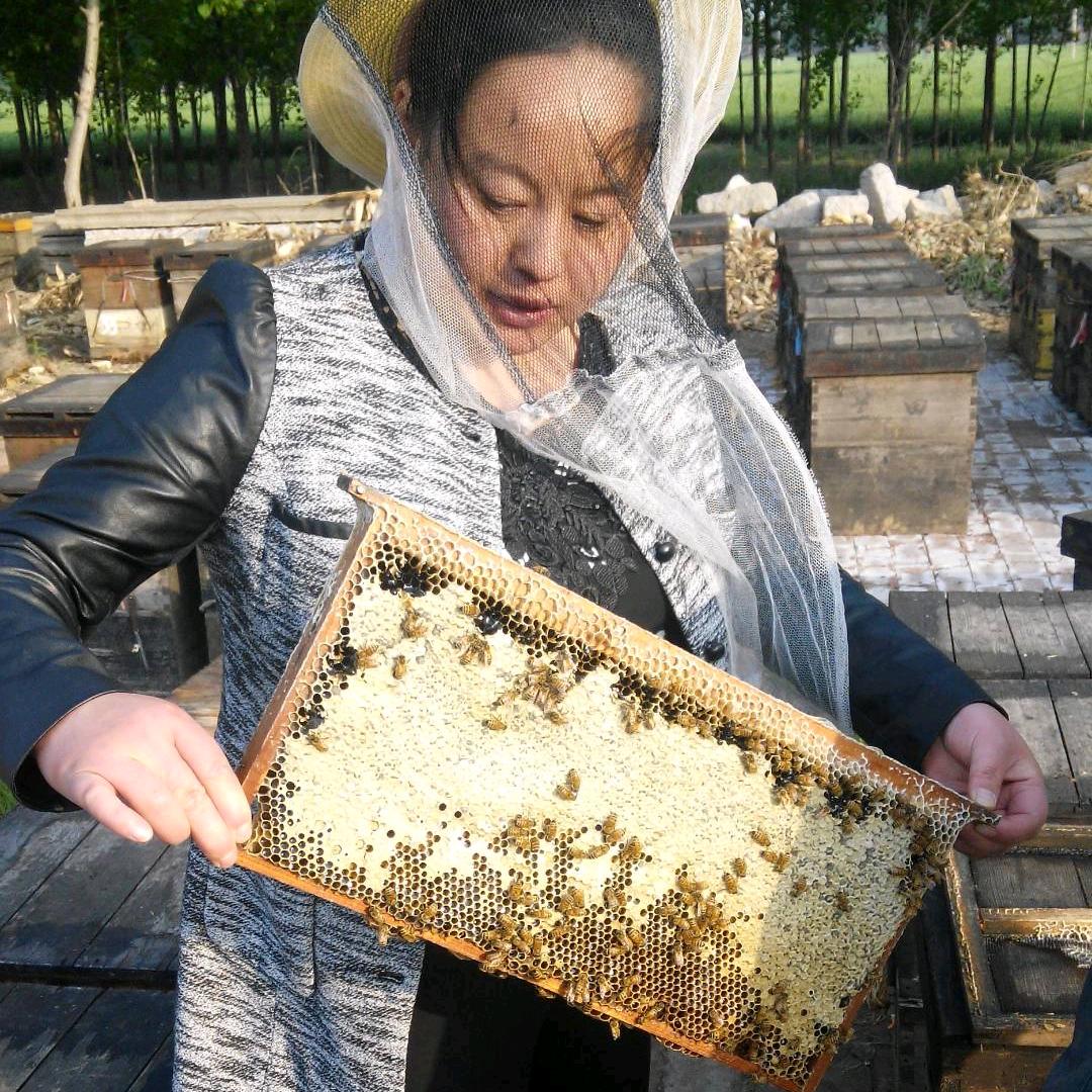 齐鲁曹宁说蜂蜜