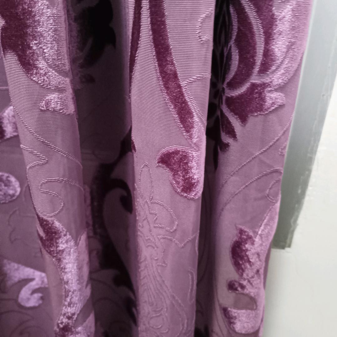 蜘蛛