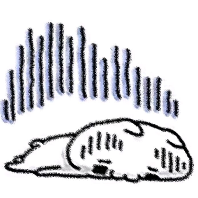 小柯ovo