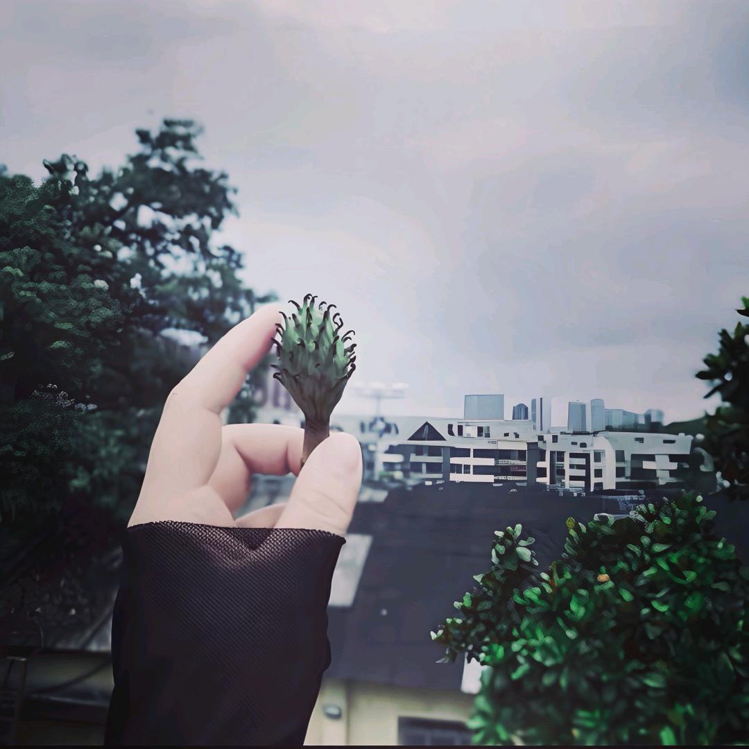 Y初见Y