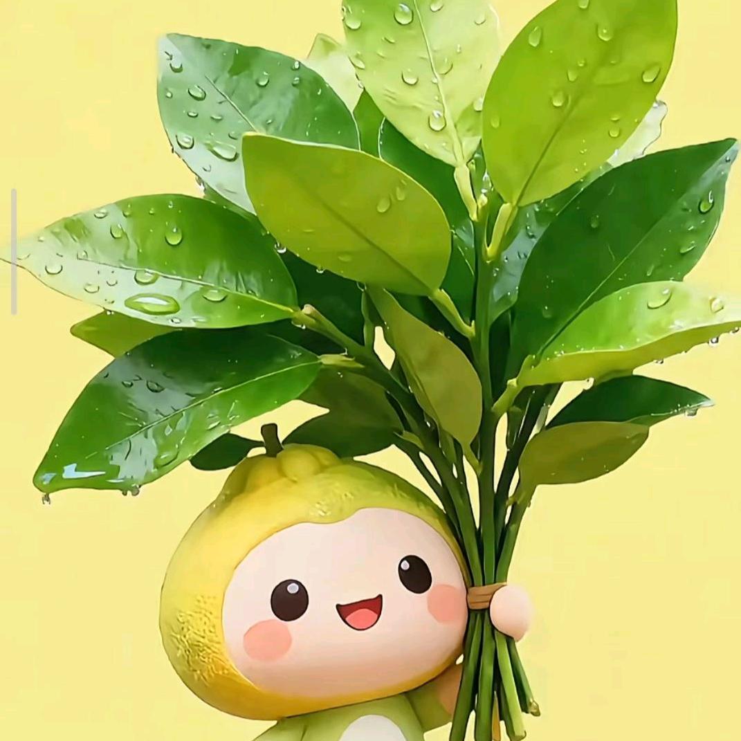 小 缪