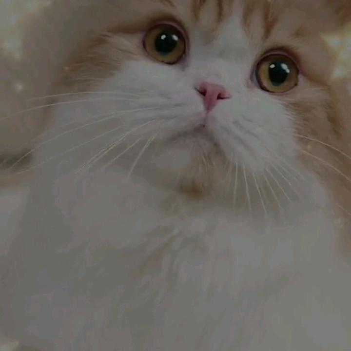 渭南云生活网