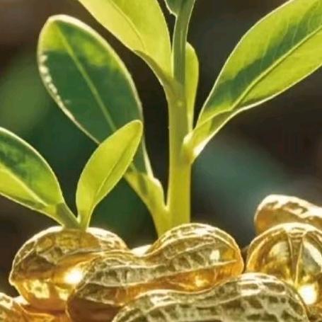 幸🌸运🌸女🌸神