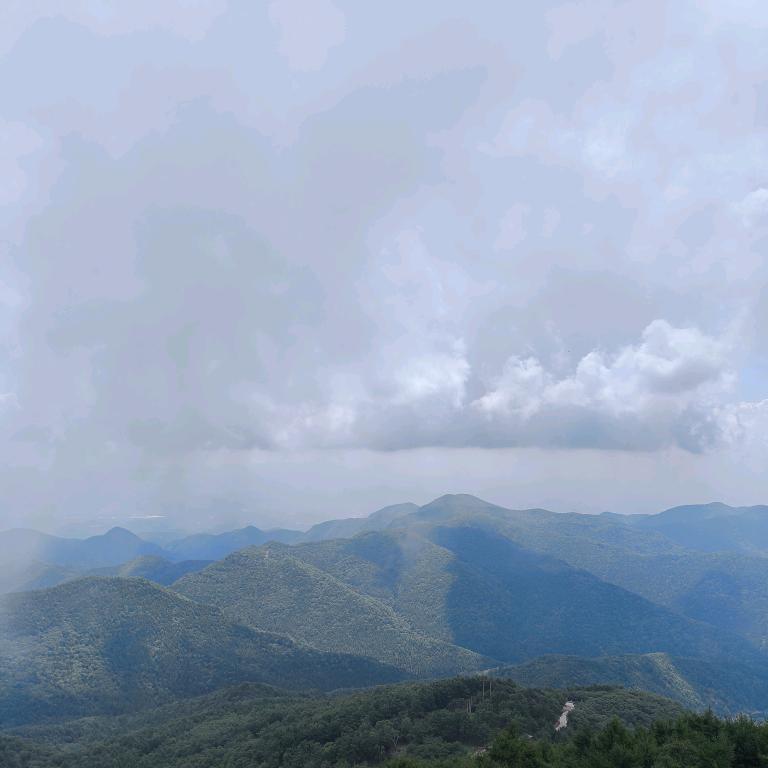 钱💰都到兜🦋李