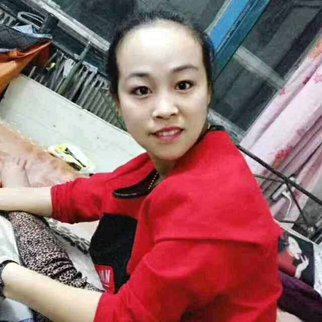出不去屋的小鸟