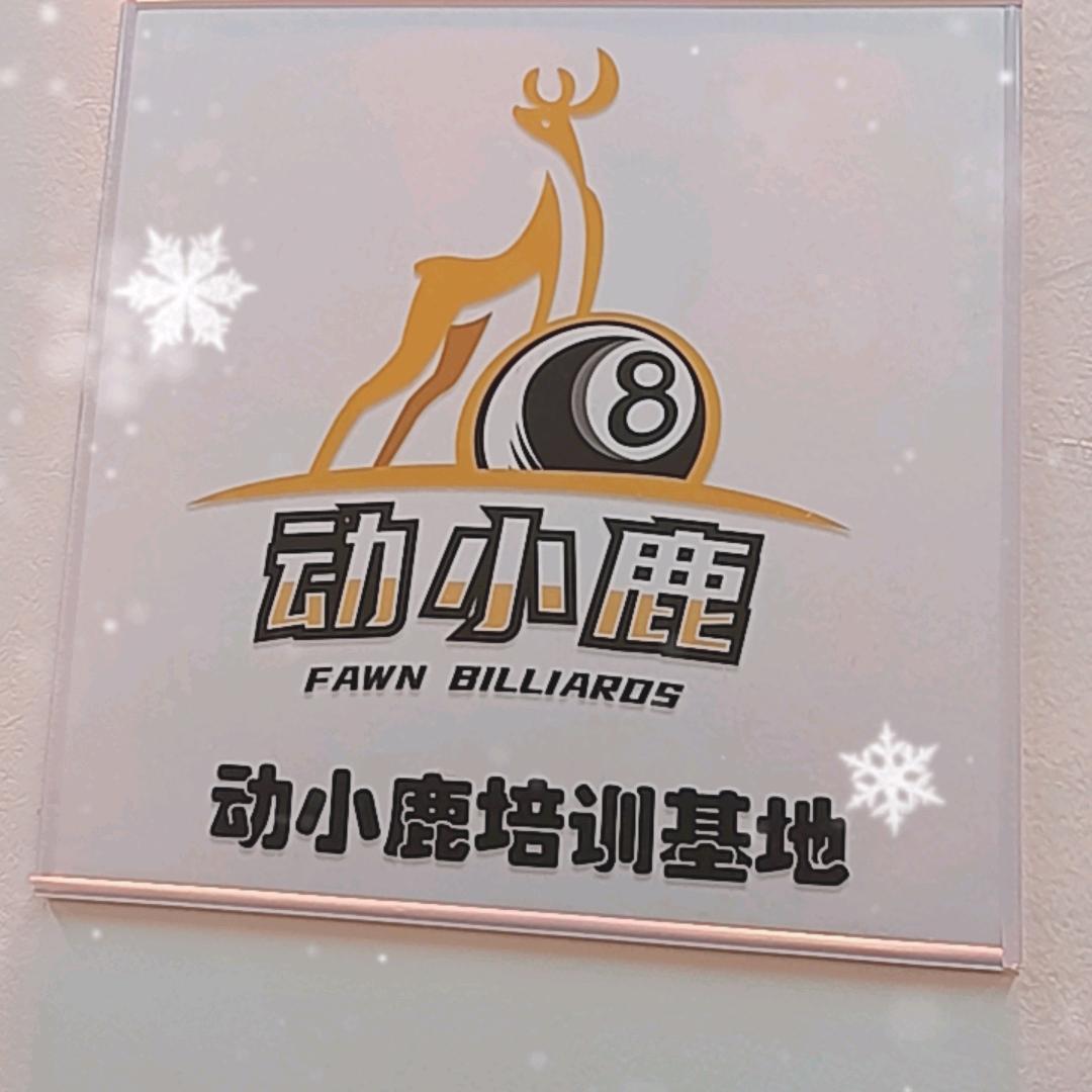 动小鹿台球培训