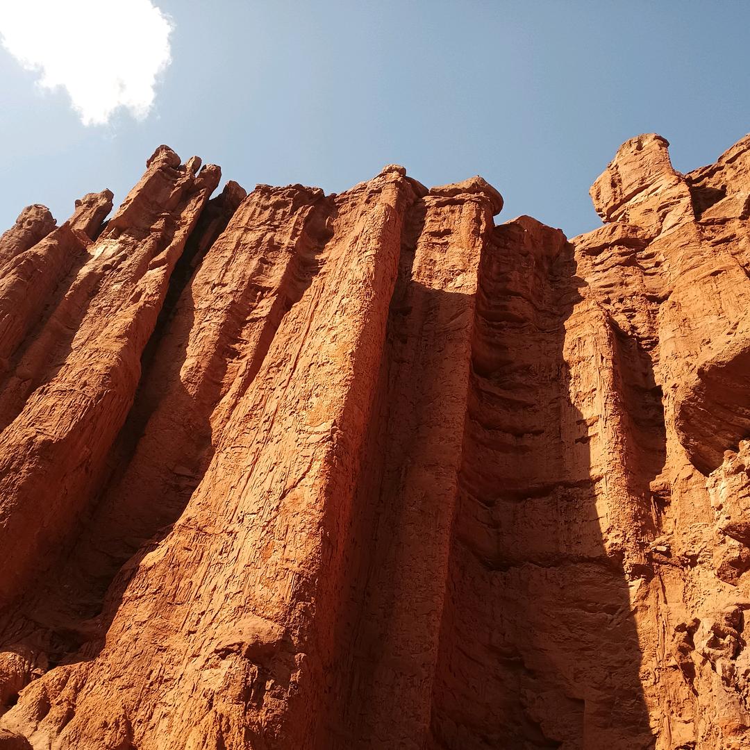阿克苏回收报废车，二手车。