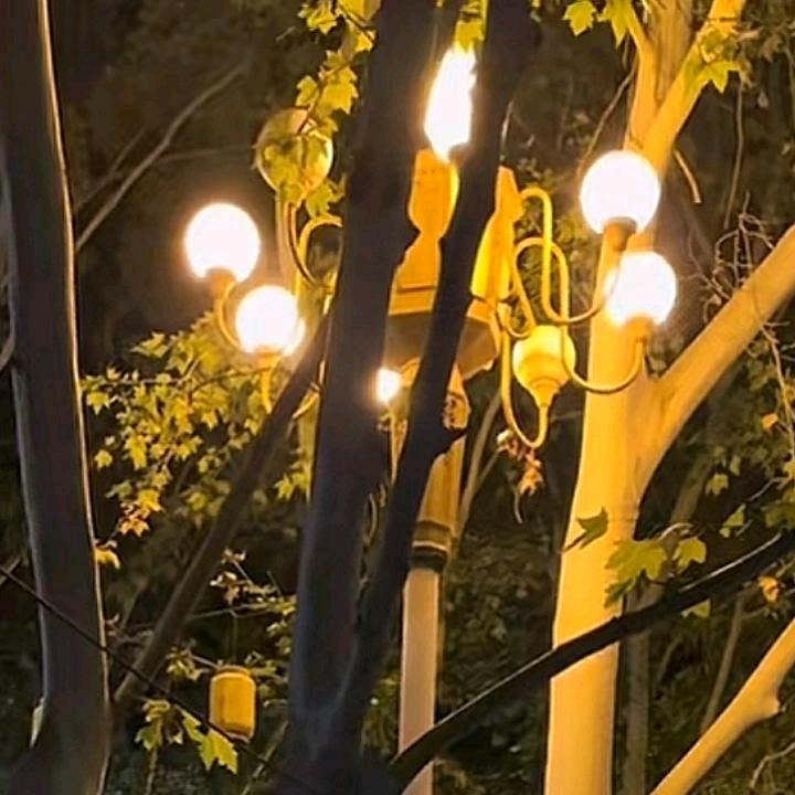 @四☞哥