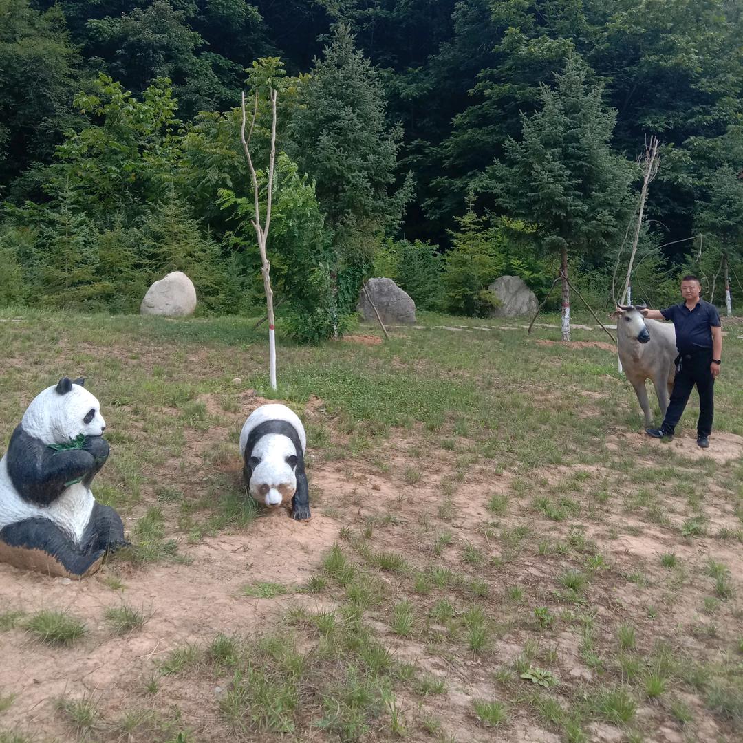 牵着羚牛看熊猫！