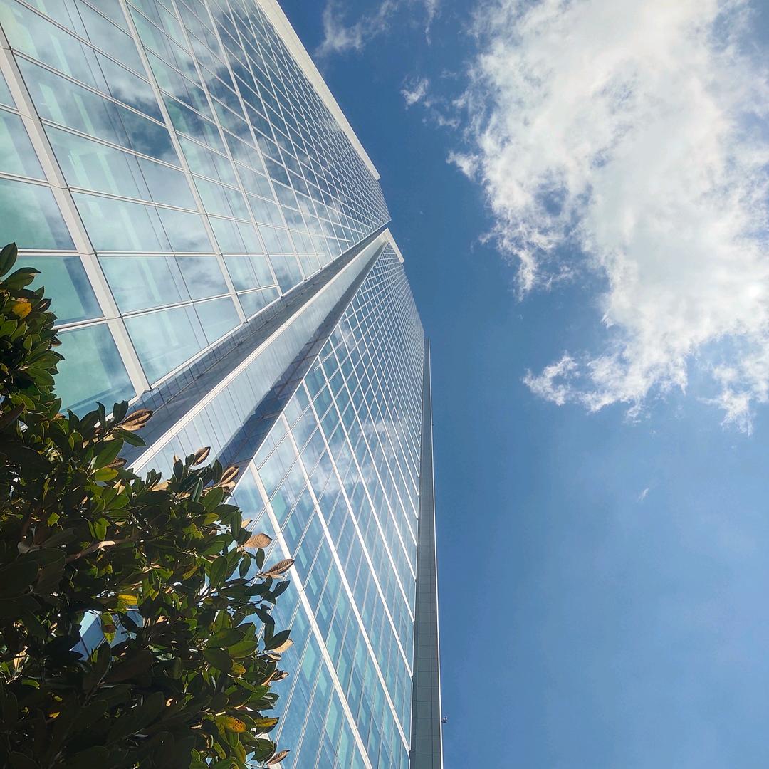 🌱未来可期🌾