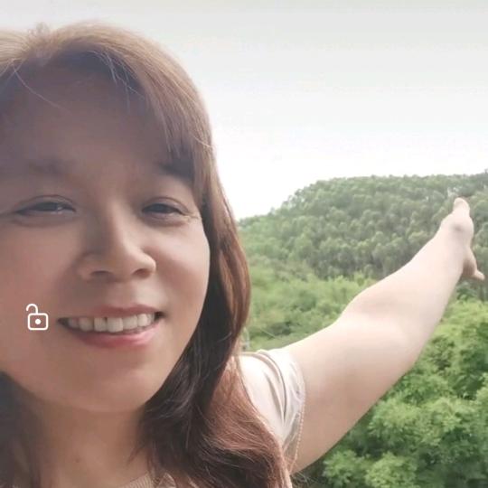 小白菜