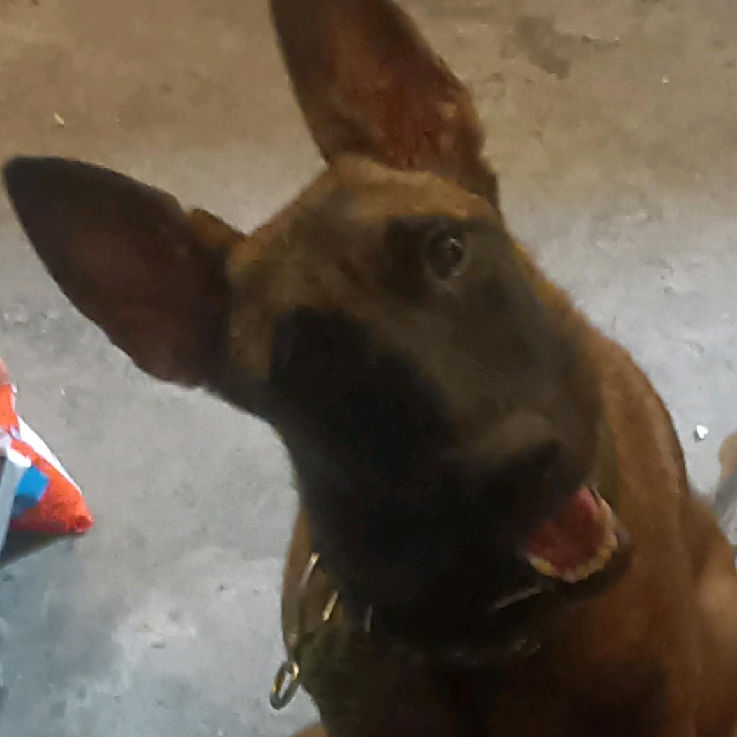 ღ᭄💞冷风໑ຼ₀₂₄💕³⁶⁹⁹