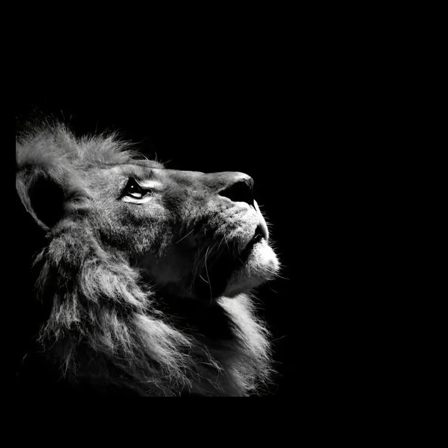 下一个明天会更好吗