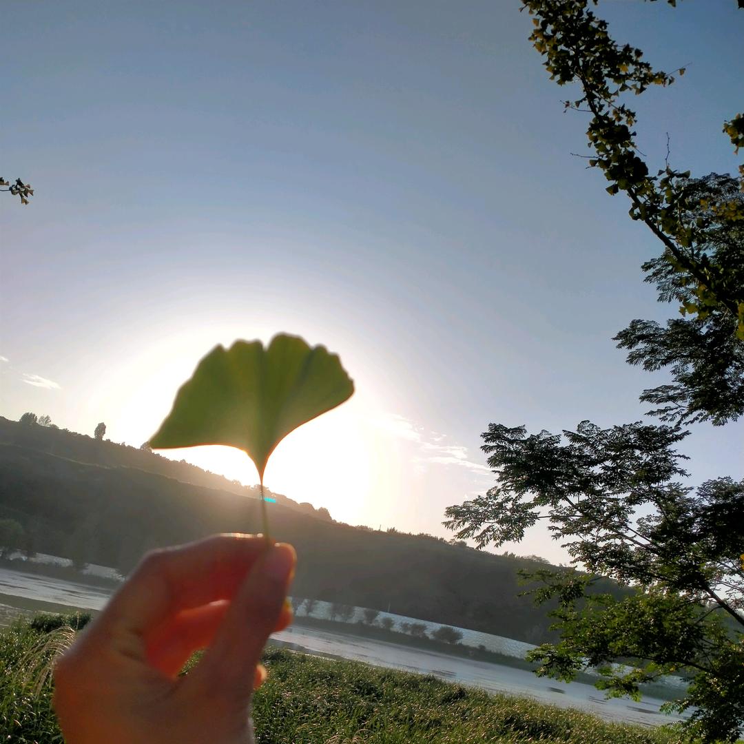 心若浮沉，浅笑安然