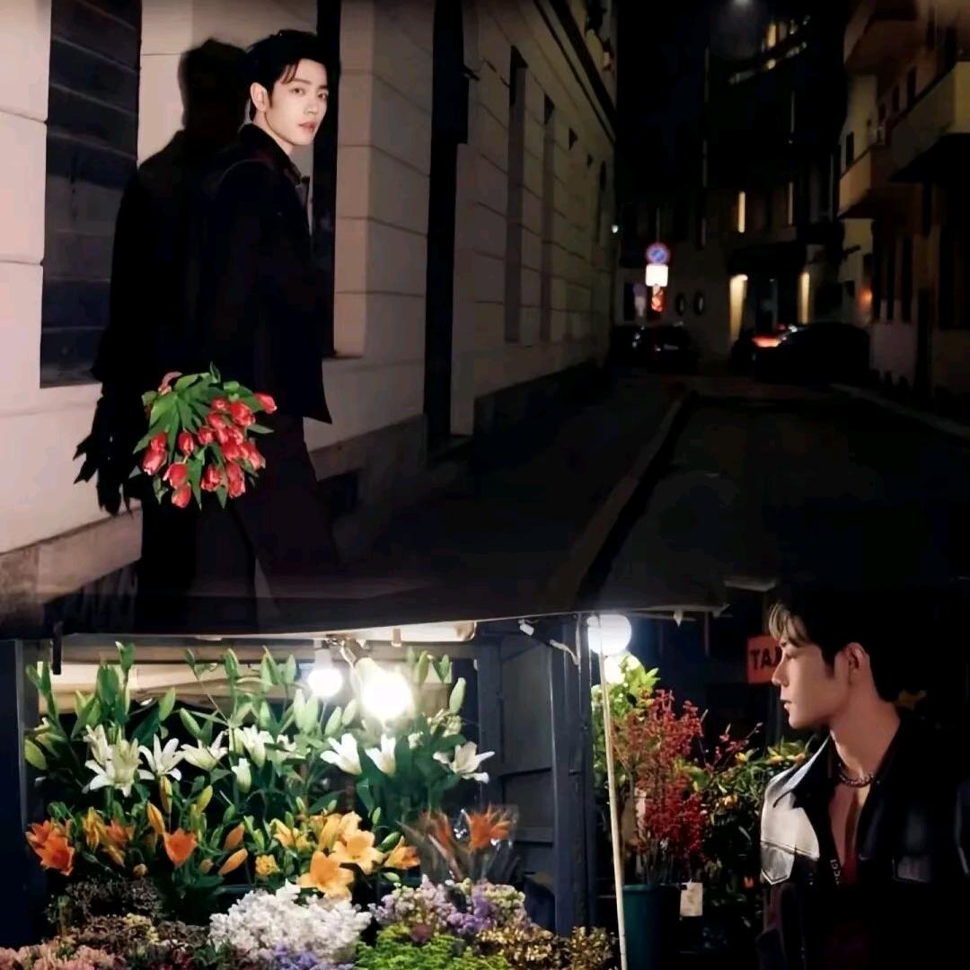 🌟梦里的云🌟