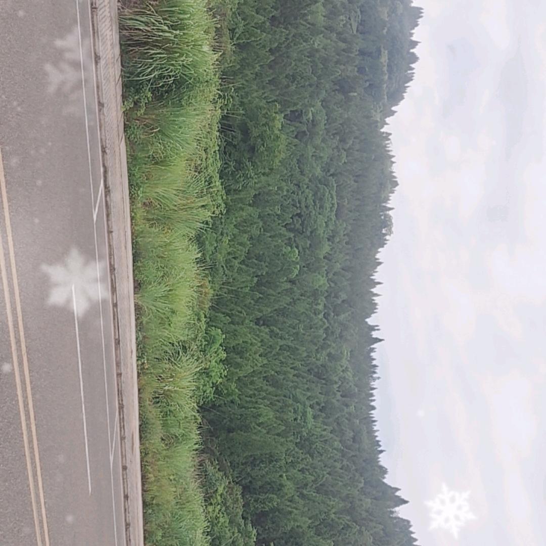 情欠费，爱停机