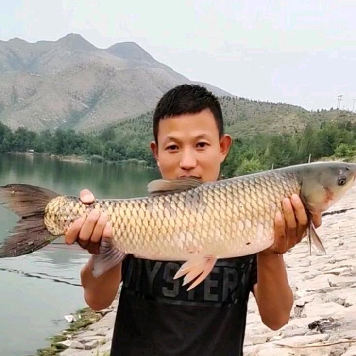 鱼帝(八方来鲤)