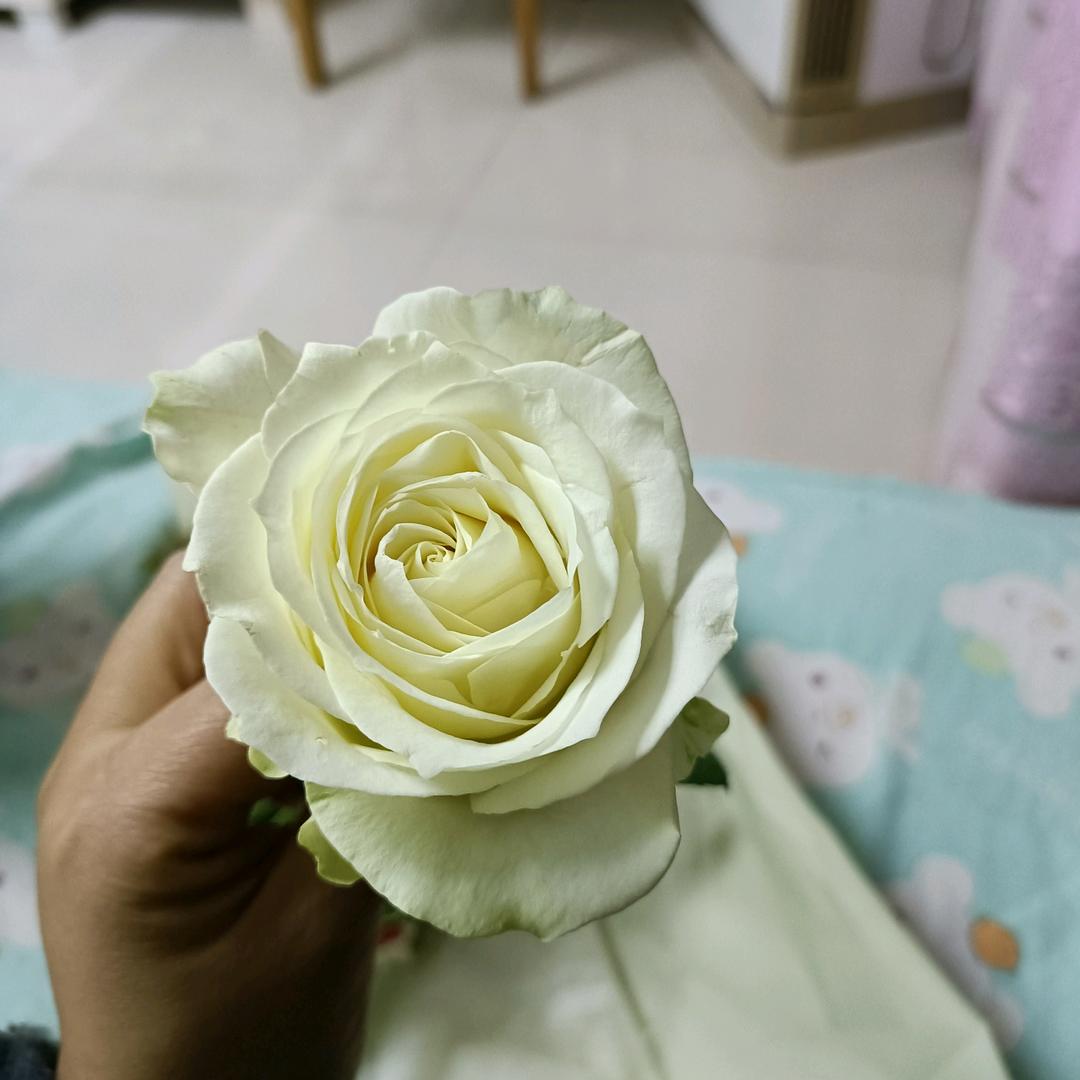 简单快乐运气不错(*๓´╰╯`๓)♡