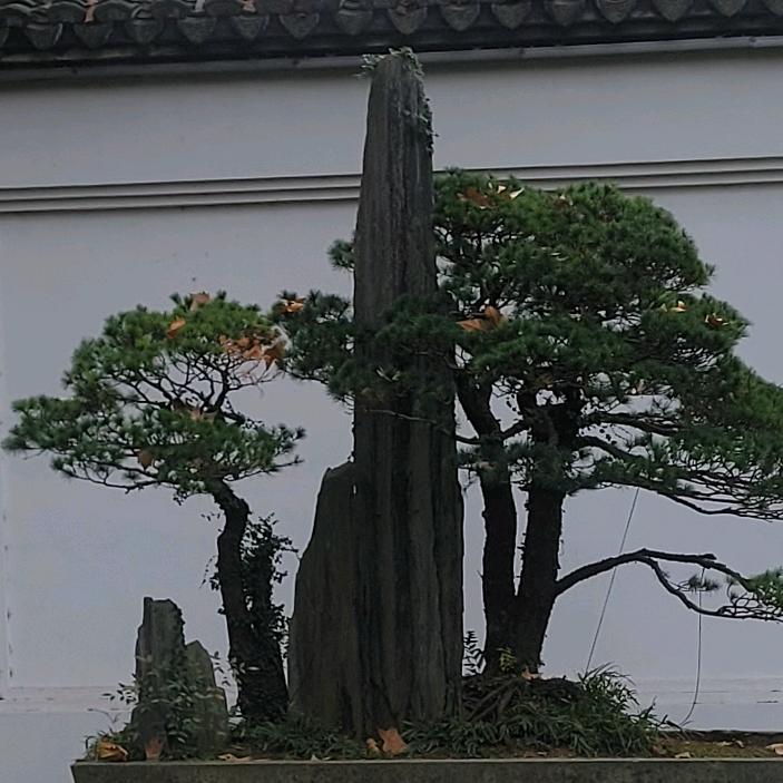 农民123