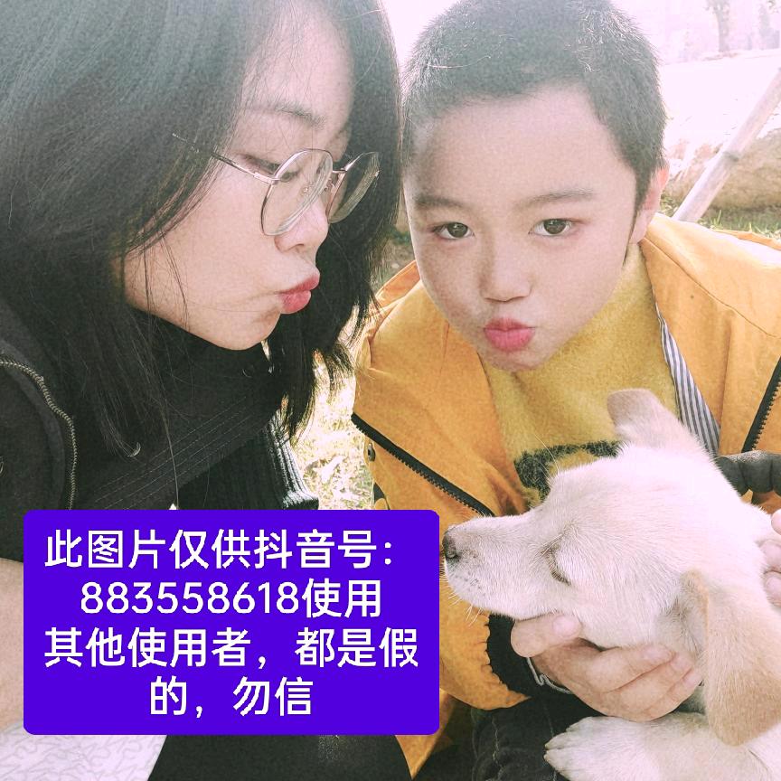 霖瑶妈