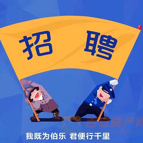 精英劳务助农团队+土豆播种-收获机