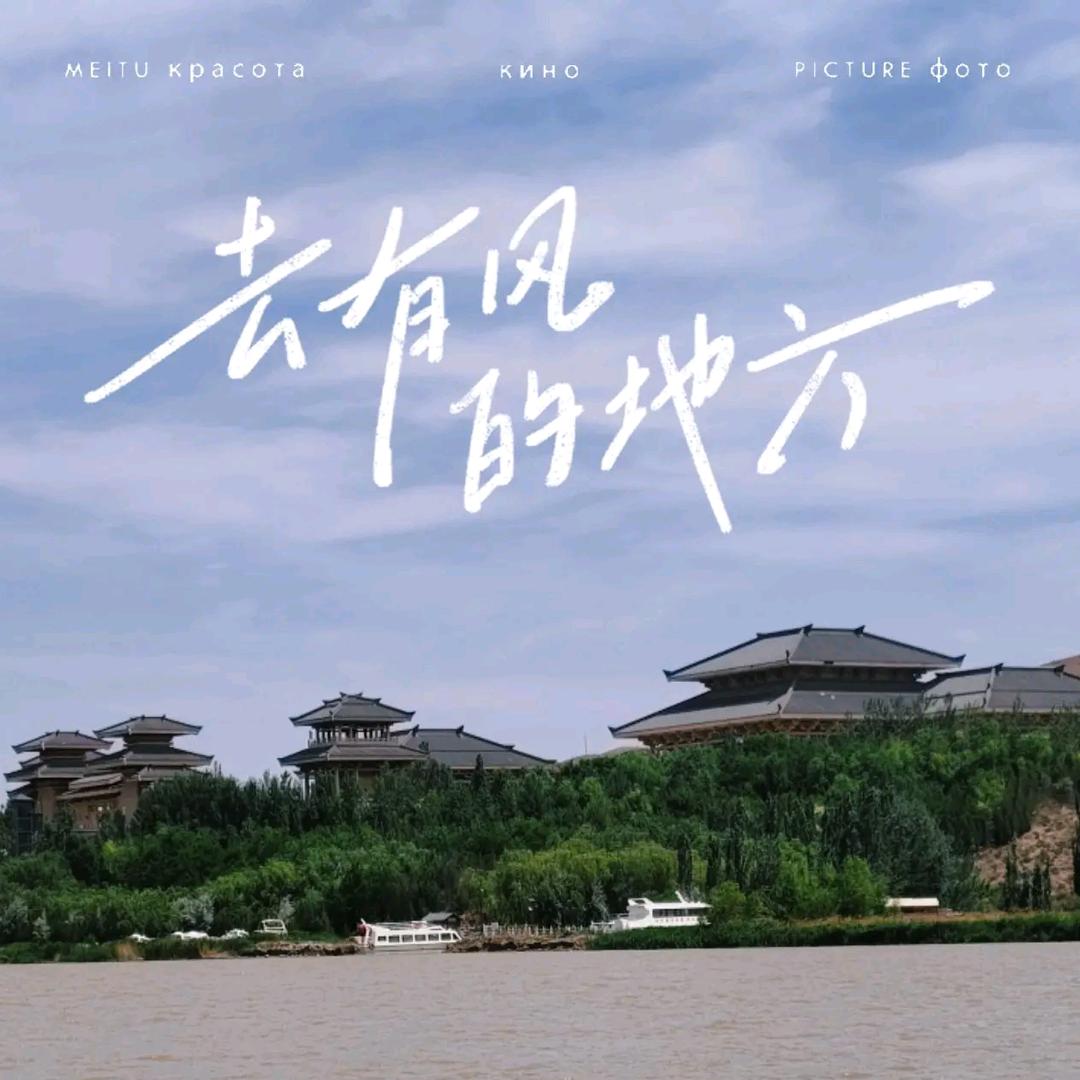 城南的·猫🐾